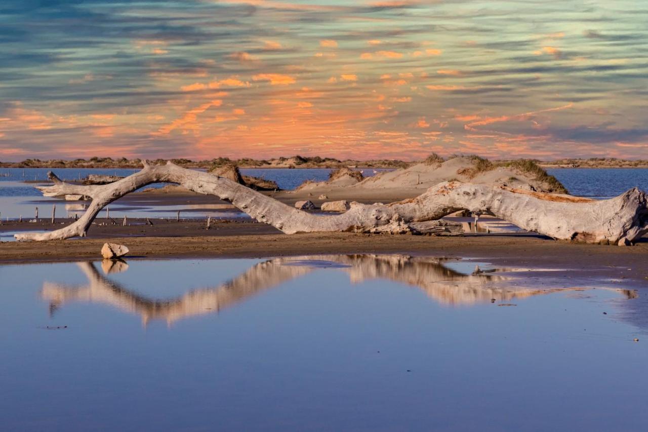 Vila Le Cabanon De Virginie Salin-de-Giraud Exteriér fotografie